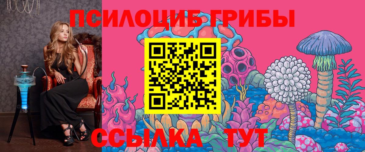 Галлюциногенные грибы Psilocybe Михайловка