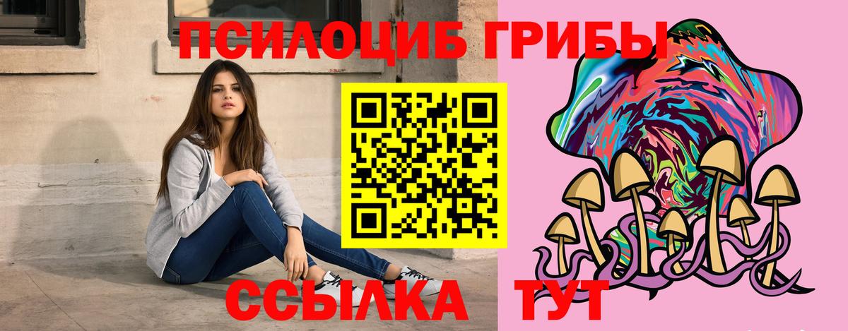 Псилоцибиновые грибы Psilocybe  Псилоцибиновые грибы Psilocybe  Вход с VPN  Михайловка 